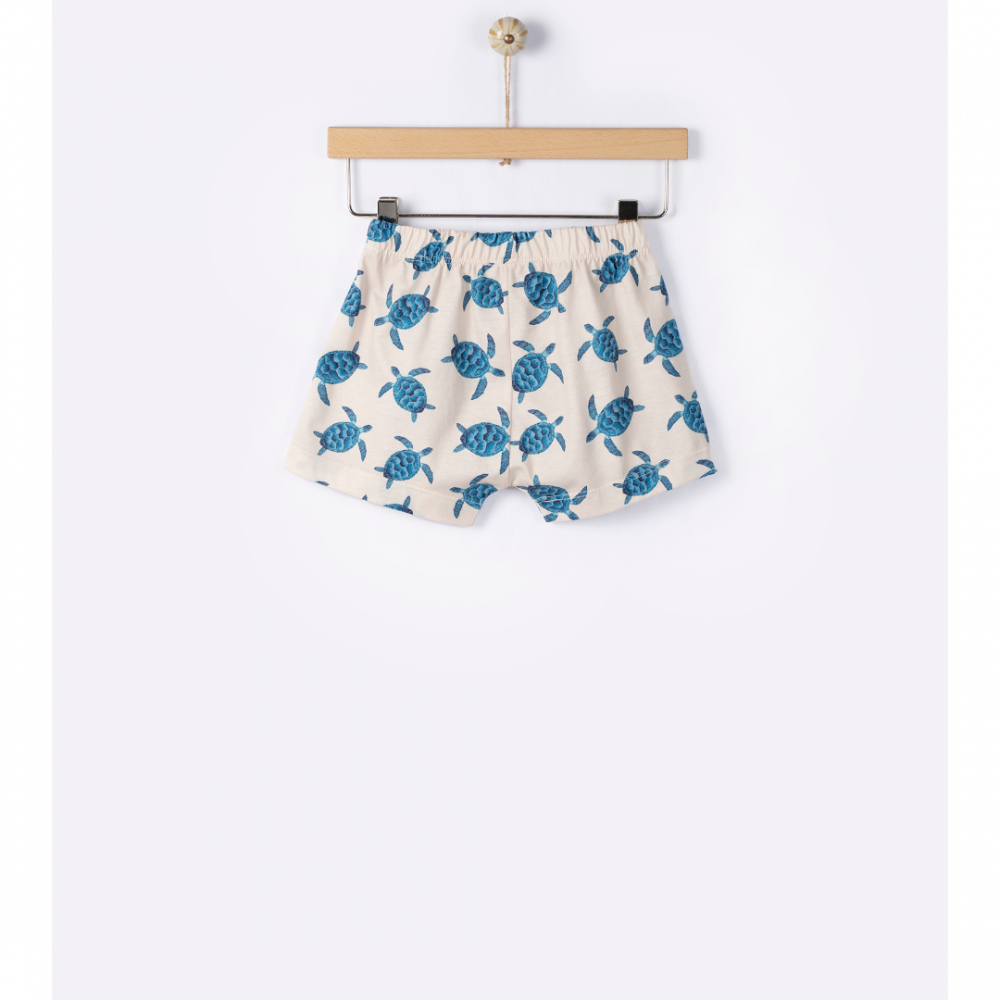 Sea turtles short