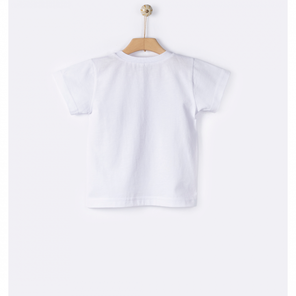 Turtle t-shirt