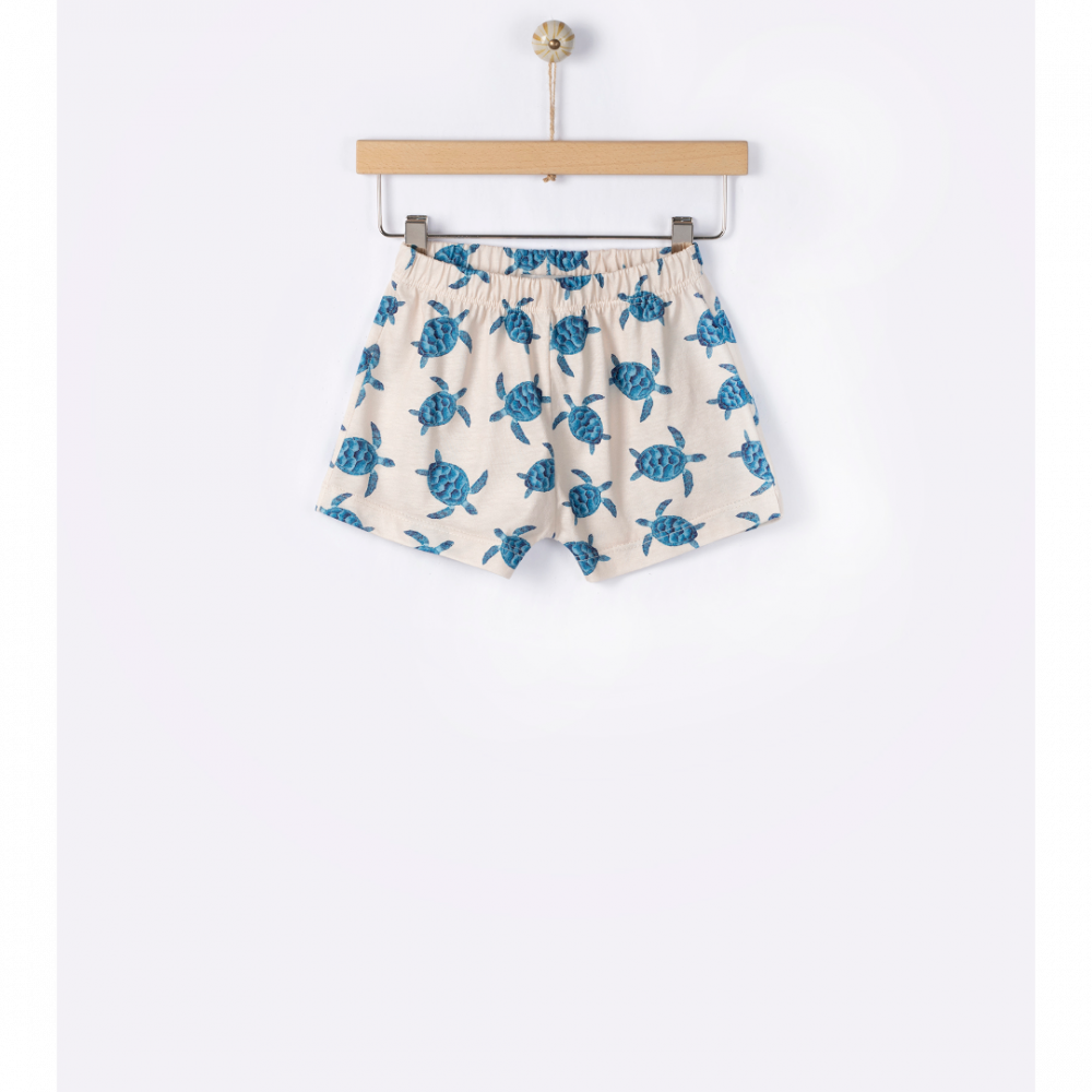 Sea turtles short